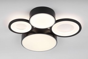 Потолочная люстра Rivoli Aliona Б0066451 в Кудымкаре - kudymkar.ok-mebel.com | фото 3