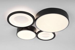 Потолочная люстра Rivoli Aliona Б0066451 в Кудымкаре - kudymkar.ok-mebel.com | фото 6