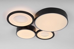 Потолочная люстра Rivoli Aliona Б0066451 в Кудымкаре - kudymkar.ok-mebel.com | фото 7
