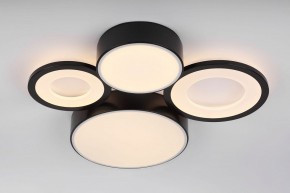 Потолочная люстра Rivoli Aliona Б0066451 в Кудымкаре - kudymkar.ok-mebel.com | фото 8