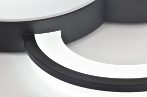 Потолочная люстра Rivoli Aliona Б0066452 в Кудымкаре - kudymkar.ok-mebel.com | фото 10