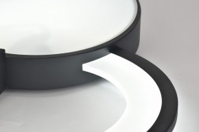 Потолочная люстра Rivoli Aliona Б0066452 в Кудымкаре - kudymkar.ok-mebel.com | фото 11
