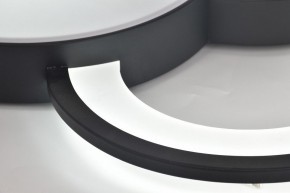 Потолочная люстра Rivoli Aliona Б0066452 в Кудымкаре - kudymkar.ok-mebel.com | фото 12