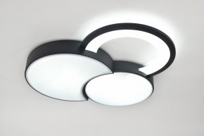 Потолочная люстра Rivoli Aliona Б0066452 в Кудымкаре - kudymkar.ok-mebel.com | фото 8