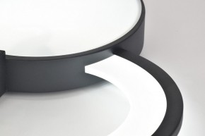 Потолочная люстра Rivoli Aliona Б0066452 в Кудымкаре - kudymkar.ok-mebel.com | фото 9