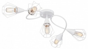 Потолочная люстра Vitaluce V3037 V3037-0/5PL в Кудымкаре - kudymkar.ok-mebel.com | фото