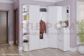 Прихожая Карина композиция 5 (Снежный ясень) в Кудымкаре - kudymkar.ok-mebel.com | фото 1