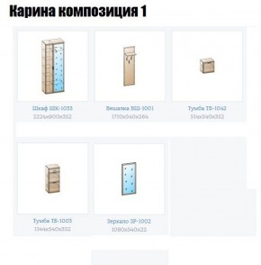 Прихожая Карина (модульная) в Кудымкаре - kudymkar.ok-mebel.com | фото 4