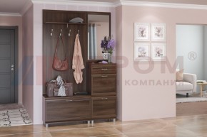 Прихожая Мелисса композиция 8 (Акация Молдау) в Кудымкаре - kudymkar.ok-mebel.com | фото