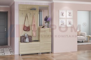 Прихожая Мелисса композиция 8 (Ясень Асахи) в Кудымкаре - kudymkar.ok-mebel.com | фото