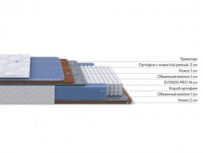 PROxSON Матрас Active Duo M/F (Ткань Трикотаж Эко) 160x200 в Кудымкаре - kudymkar.ok-mebel.com | фото 2