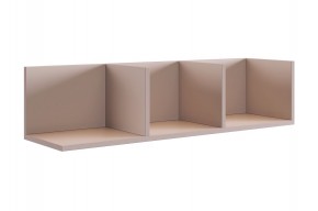 РИЧ Полка навесная 2 (кашемир) в Кудымкаре - kudymkar.ok-mebel.com | фото