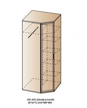 ШК-1011 (Шкаф угловой) в Кудымкаре - kudymkar.ok-mebel.com | фото