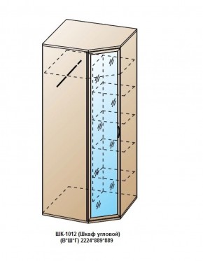 ШК-1012 (Шкаф угловой) в Кудымкаре - kudymkar.ok-mebel.com | фото