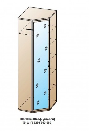 ШК-1014 (Шкаф угловой) в Кудымкаре - kudymkar.ok-mebel.com | фото