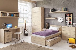 Шкаф 2D OSKAR , цвет дуб Санремо в Кудымкаре - kudymkar.ok-mebel.com | фото 5