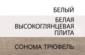 Шкаф 2D/TYP 20A, LINATE ,цвет белый/сонома трюфель в Кудымкаре - kudymkar.ok-mebel.com | фото 4