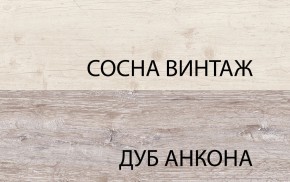 Шкаф 2D1S, MONAKO, цвет Сосна винтаж/дуб анкона в Кудымкаре - kudymkar.ok-mebel.com | фото
