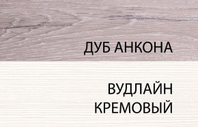 Шкаф 2DG, OLIVIA, цвет вудлайн крем/дуб анкона в Кудымкаре - kudymkar.ok-mebel.com | фото 3
