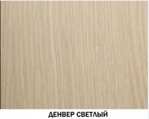 Шкаф для одежды №609 "Инна" Денвер светлый (*без полок) в Кудымкаре - kudymkar.ok-mebel.com | фото 4