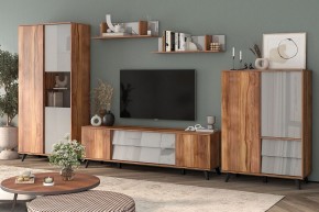 Шкаф комбинированный Онтарио 474.06 в Кудымкаре - kudymkar.ok-mebel.com | фото 5