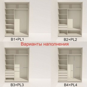 Шкаф-купе 1400 серии SOFT D8+D2+B2+PL4 (2 ящика+F обр.штанга) профиль «Капучино» в Кудымкаре - kudymkar.ok-mebel.com | фото 4