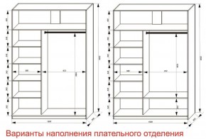 Шкаф-купе 1600 серии SOFT D6+D4+B2+PL2 (2 ящика+1штанга+1 полка) профиль «Капучино» в Кудымкаре - kudymkar.ok-mebel.com | фото 8