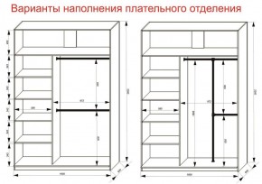 Шкаф-купе 1600 серии SOFT D6+D4+B2+PL2 (2 ящика+1штанга+1 полка) профиль «Капучино» в Кудымкаре - kudymkar.ok-mebel.com | фото 9