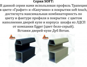 Шкаф-купе 1800 серии SOFT D8+D2+B2+PL4 (2 ящика+F обр.штанга) профиль «Графит» в Кудымкаре - kudymkar.ok-mebel.com | фото 12