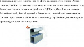 Шкаф-купе 2250 серии SILVER S3+S1+S3Z B22+PL2 (по 2 ящика лев/прав+1штанга+1 полка) профиль «Серебро» в Кудымкаре - kudymkar.ok-mebel.com | фото 4