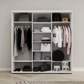 Шкаф-купе Акцент-Сим Д 1500-600 в Кудымкаре - kudymkar.ok-mebel.com | фото 2