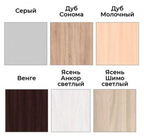 Шкаф-купе ХИТ 22-18-111 (620) в Кудымкаре - kudymkar.ok-mebel.com | фото 3