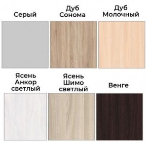 Шкаф-купе ХИТ 22-4-12/2-77 (420) в Кудымкаре - kudymkar.ok-mebel.com | фото 3