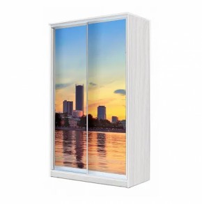 Шкаф-купе ХИТ 22-4-14-77 (420) в Кудымкаре - kudymkar.ok-mebel.com | фото 10