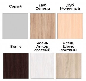 Шкаф-купе ХИТ 22-4-14-88 (420) в Кудымкаре - kudymkar.ok-mebel.com | фото 4