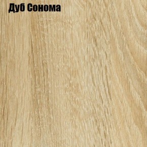 Шкаф-купе Лофт 2400 Шк24-60 (Дуб Сонома) в Кудымкаре - kudymkar.ok-mebel.com | фото 4