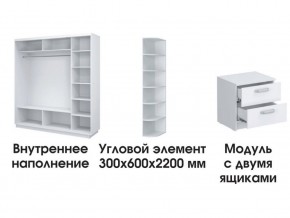 Шкаф-купе «ТАНДЕМ» 3-х дверный в белом профиле (Дверь ЛДСП+Z+Z) 2400/h2200 в Кудымкаре - kudymkar.ok-mebel.com | фото 3