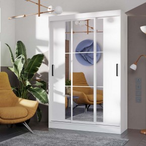 Шкаф-купе Тайм ШКК-03 (белый) в Кудымкаре - kudymkar.ok-mebel.com | фото