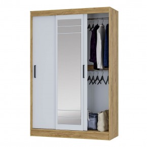 Шкаф-купе Тео ШКК-02 (крафт/белый) в Кудымкаре - kudymkar.ok-mebel.com | фото 3