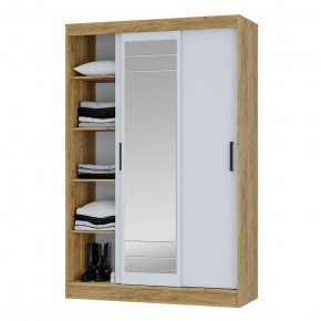 Шкаф-купе Тео ШКК-02 (крафт/белый) в Кудымкаре - kudymkar.ok-mebel.com | фото 4