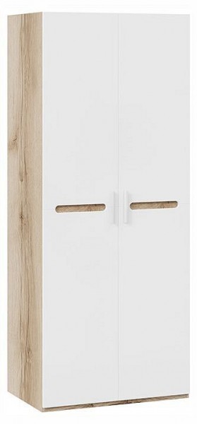 Шкаф платяной Фьюжн ТД-260.07.02 в Кудымкаре - kudymkar.ok-mebel.com | фото