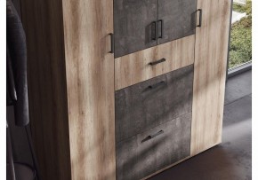 Шкаф платяной Паркинс в Кудымкаре - kudymkar.ok-mebel.com | фото 3