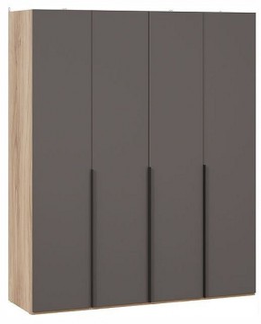 Шкаф платяной Порто СМ-393.07.110 в Кудымкаре - kudymkar.ok-mebel.com | фото