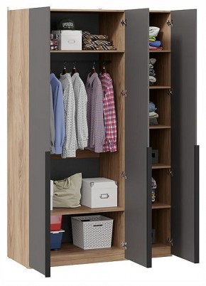 Шкаф платяной Порто СМ-393.07.112 в Кудымкаре - kudymkar.ok-mebel.com | фото 2