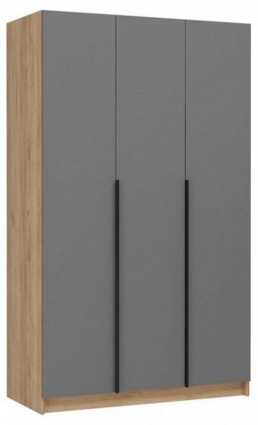 Шкаф платяной Широн в Кудымкаре - kudymkar.ok-mebel.com | фото