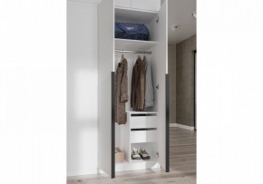 Шкаф платяной Широн в Кудымкаре - kudymkar.ok-mebel.com | фото 3