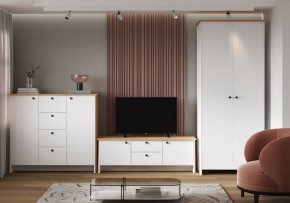 Шкаф платяной Теодора в Кудымкаре - kudymkar.ok-mebel.com | фото 4