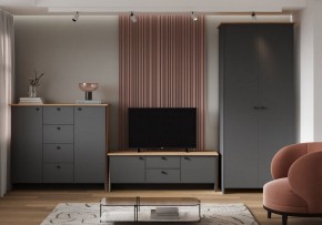Шкаф платяной Теодора в Кудымкаре - kudymkar.ok-mebel.com | фото 3