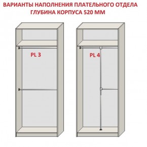 Шкаф распашной серия «ЗЕВС» (PL3/С1/PL2) в Кудымкаре - kudymkar.ok-mebel.com | фото 10