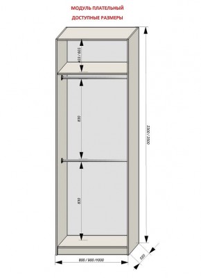 Шкаф распашной серия «ЗЕВС» (PL3/С1/PL2) в Кудымкаре - kudymkar.ok-mebel.com | фото 12